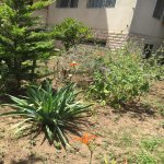 Satılır 9 otaqlı Həyət evi/villa, Badamdar qəs., Səbail rayonu 10