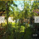 Kirayə (günlük) 4 otaqlı Həyət evi/villa Qəbələ 7