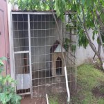 Satılır 3 otaqlı Həyət evi/villa, Zabrat qəs., Sabunçu rayonu 15