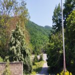 Satılır Torpaq Quba 6