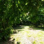 Kirayə (günlük) 3 otaqlı Həyət evi/villa Qəbələ 14