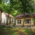 Kirayə (günlük) 1 otaqlı Həyət evi/villa Qusar 12