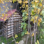Kirayə (aylıq) 4 otaqlı Bağ evi, Fatmayi, Abşeron rayonu 15
