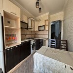 Satılır 2 otaqlı Yeni Tikili, Bakıxanov qəs., Sabunçu rayonu 10