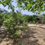 Продажа 4 комнат Дома/Виллы, пос. Биня, Хязяр район 14