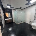 Аренда 5 комнатная Дома/Виллы, пос. Бадамдар, Сябаиль район 11