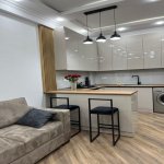 Kirayə (aylıq) 2 otaqlı Yeni Tikili, Nəriman Nərimanov metrosu, Montin qəs., Nərimanov rayonu 8