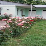 Kirayə (günlük) 2 otaqlı Bağ evi Quba 8