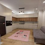 Kirayə (aylıq) 2 otaqlı Yeni Tikili, Nəriman Nərimanov metrosu, Nərimanov rayonu 10