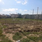 Satılır Torpaq, Koroğlu metrosu, Maştağa qəs., Sabunçu rayonu 4