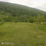 Kirayə (günlük) 3 otaqlı Həyət evi/villa Quba 12