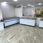 Kirayə (aylıq) Obyekt, Gənclik metrosu, Ayna Sultanova heykəli, Nərimanov rayonu 9