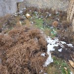 Продажа Участок, пос. Бадамдар, Сябаиль район 3