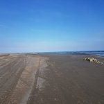 Satılır Torpaq, Zirə, Aviasiya Akademiyası Universiteti, Xəzər rayonu 3