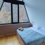 Kirayə (günlük) 3 otaqlı Həyət evi/villa Qəbələ 5