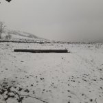 Satılır Torpaq Qobustan 2
