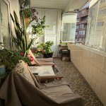 Продажа 3 комнатная Новостройка, пос. Старый Гуняшли, Хетаи район 15