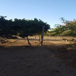 Satılır Torpaq, Abşeron rayonu 2