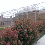 Satılır 3 otaqlı Həyət evi/villa, Binə qəs., Xəzər rayonu 12