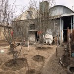 Satılır 3 otaqlı Həyət evi/villa Gəncə 6