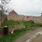 Satılır Torpaq, Saray, Abşeron rayonu 6