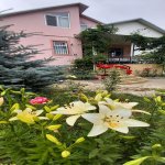 Kirayə (günlük) 5 otaqlı Bağ evi Qusar 1