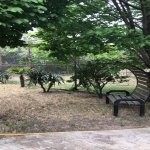 Kirayə (aylıq) 8 otaqlı Bağ evi, Bilgəh qəs., Sabunçu rayonu 2