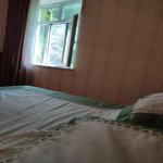 Kirayə (günlük) 4 otaqlı Həyət evi/villa Lerik 15