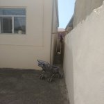 Satılır 1 otaqlı Həyət evi/villa, Binə qəs., Xəzər rayonu 9