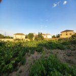 Satılır 2 otaqlı Bağ evi, Saray, Abşeron rayonu 20