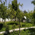 Kirayə (günlük) 4 otaqlı Həyət evi/villa Qəbələ 2