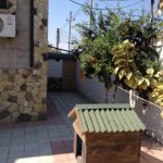 Satılır 7 otaqlı Bağ evi, Sabunçu rayonu 16