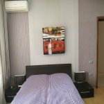 Kirayə (aylıq) 3 otaqlı Yeni Tikili, Gənclik metrosu, Nərimanov rayonu 10