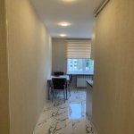 Аренда 2 комнатная Вторичка, м. 28 Мая метро, Порт Баку, Насими район 5