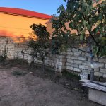 Satılır Torpaq, Saray, Abşeron rayonu 5
