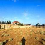 Satılır Torpaq, Saray, Abşeron rayonu 14