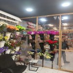 Аренда Объект, м. Ази Асланова метро, пос. А.Асланов, Хетаи район 9