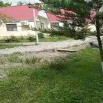 Satılır Obyekt Qəbələ 8