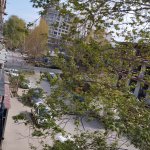 Продажа 3 комнат Вторичка, Nizami метро, Парк офицеров, Ясамал район 18