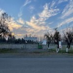 Kirayə (aylıq) Obyekt Lənkəran 1