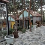 Kirayə (aylıq) Obyekt, 20 Yanvar metrosu, Nəsimi rayonu 21