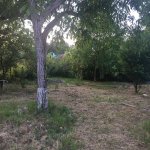 Satılır 4 otaqlı Həyət evi/villa İsmayıllı 14