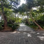 Kirayə (günlük) 1 otaqlı Köhnə Tikili, Sahil metrosu, Səbail rayonu 17