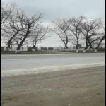 Satılır Torpaq Quba 13