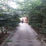 Kirayə (aylıq) Obyekt, Sulutəpə qəs., Binəqədi rayonu 4