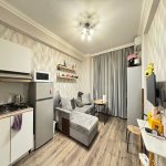 Продажа 1 комнат Новостройка, м. 20 Января метро, пос. Ясамал, Ясамал район 3