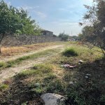 Satılır Torpaq, Novxanı, Abşeron rayonu 2