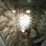 Satılır 1 otaqlı Həyət evi/villa Xırdalan 3
