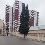 Kirayə (aylıq) 3 otaqlı Yeni Tikili, Memar Əcəmi metrosu, Nəsimi rayonu 1