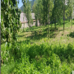 Продажа Участок Шамаха 11
